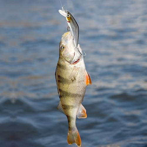Miniatura 7 de Señuelos de pesca, señuelos de pesca con ganchos, cebos de manivela para agua salada, trucha de agua dulce, lucioperca, salmón, bagre