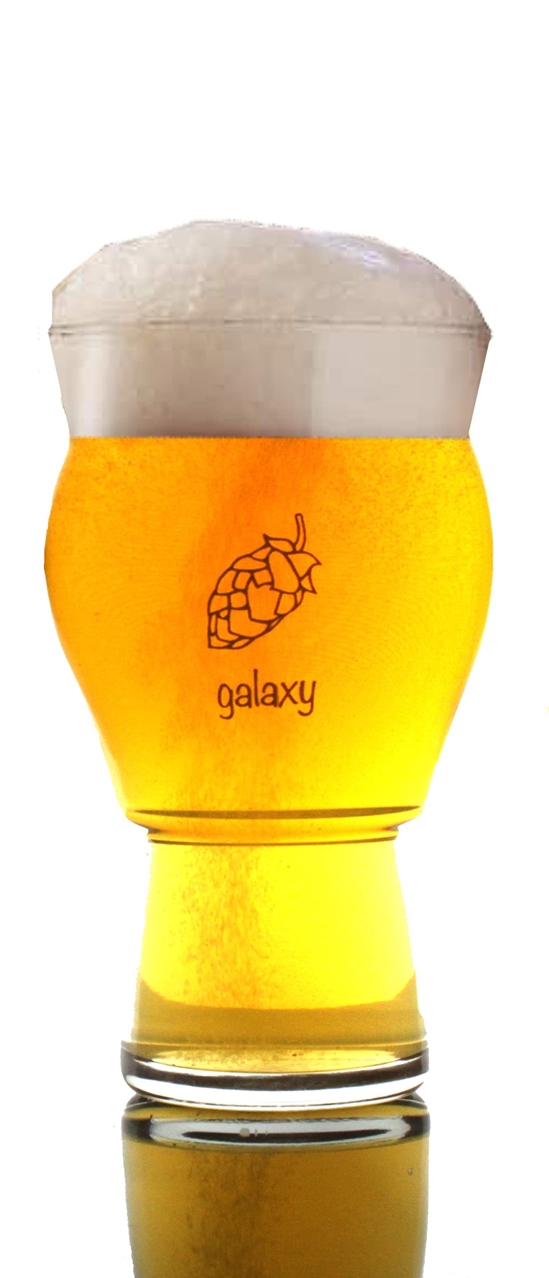 Buy American Made Uniquely Labeled Beer Glass Four (4) Pack of