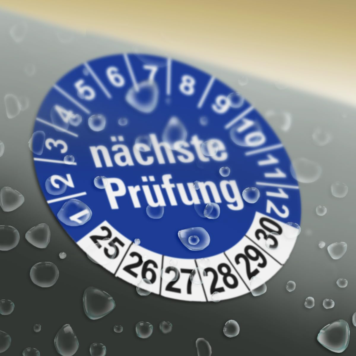 Hochwertige Prüfetiketten FD-2 NÄCHSTE WARTUNG Ø 30mm - Selbstklebende PVC-Folie - Wartungsetiketten für Prüfung - Prüfplakette für Prüfungsnachweis (500 Stück)