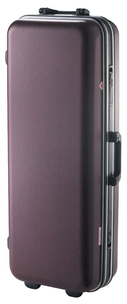 Amazon.co.jp: GL CASES 管楽器用ABSハードケース GLCシリーズ テナー 