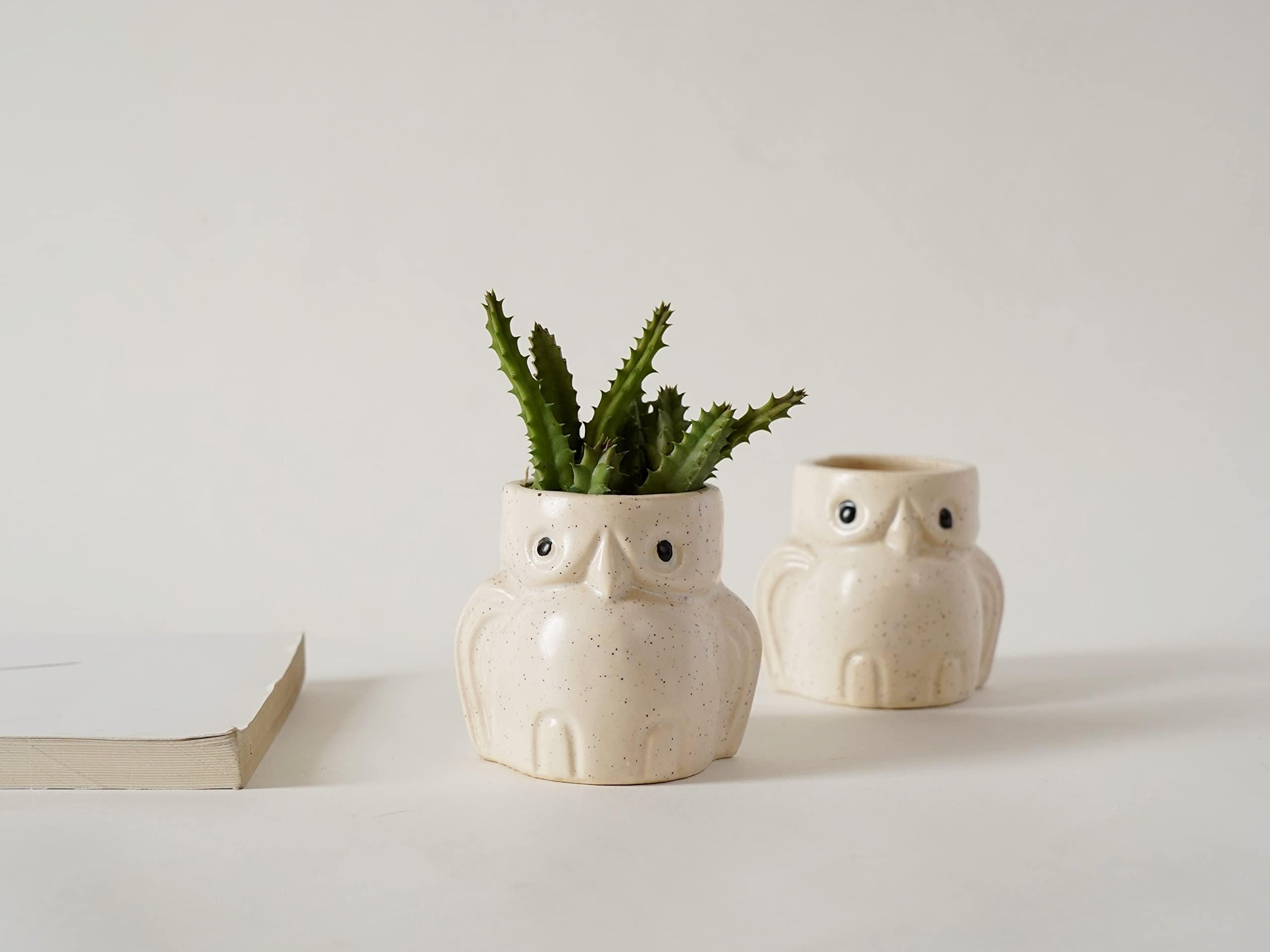 Local Kala's Elegant Ceramic Owl Planters (Set of 2) Indoor Planter Plant Pot with Drainage Hole for Table/Desk/Gifting/Garden Size (6 cm X 7.5 cm) - Without Plant