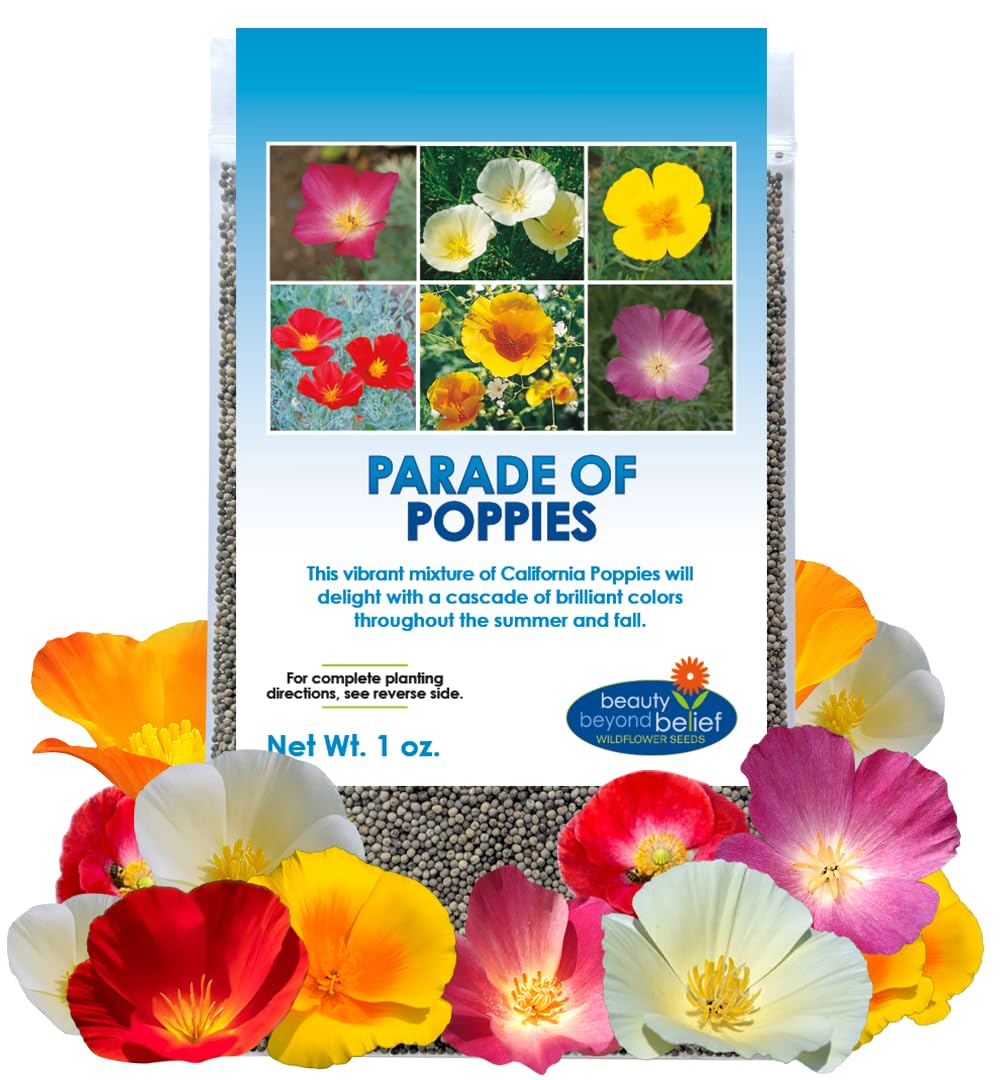 indoor plant pot hangers Orchid Nerd 6 Inch Single Clip-on Pot Hanger  5 Pack