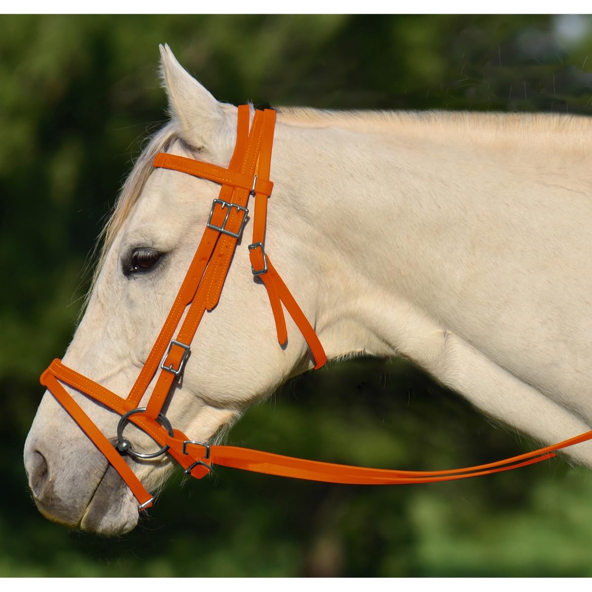 BLESSING PET SUPPLY Horse Bridle, Harness, Durable For Horse Nylon Race Horse Bridle With Export Quality Bit (Orange) (B0CWVGS3ZR) Amazon Price History, Amazon Price Tracker