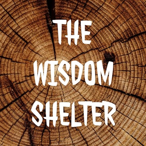 THE WISDOM SHELTER Titelbild