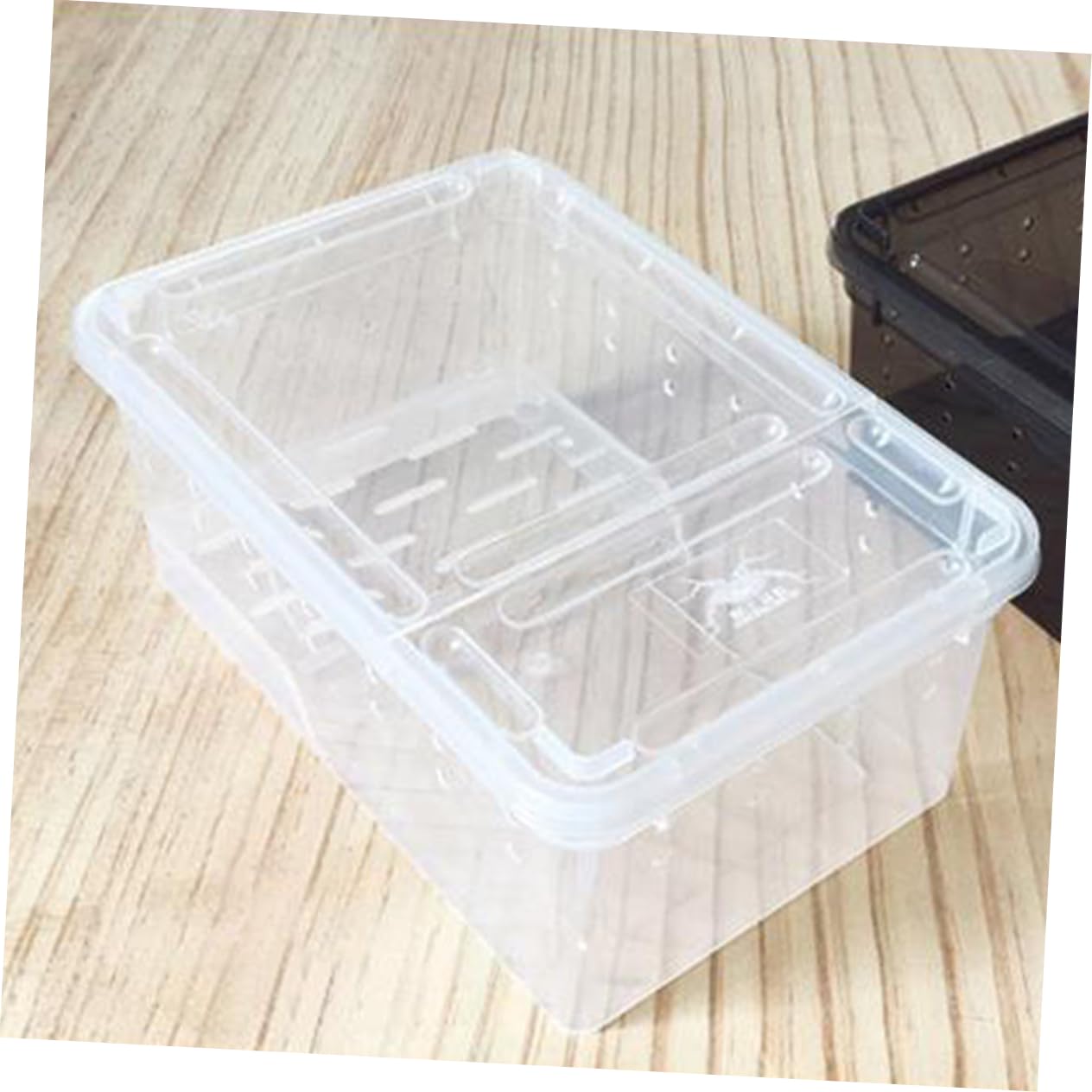Terrario Rettili con Piattaforma per Tartarughe, Vasca Domestica | Area di Riposo e Alimentazione, Pendenza Adatta, Plastico, per Riabilitazione e Arrampicata Quotidiana