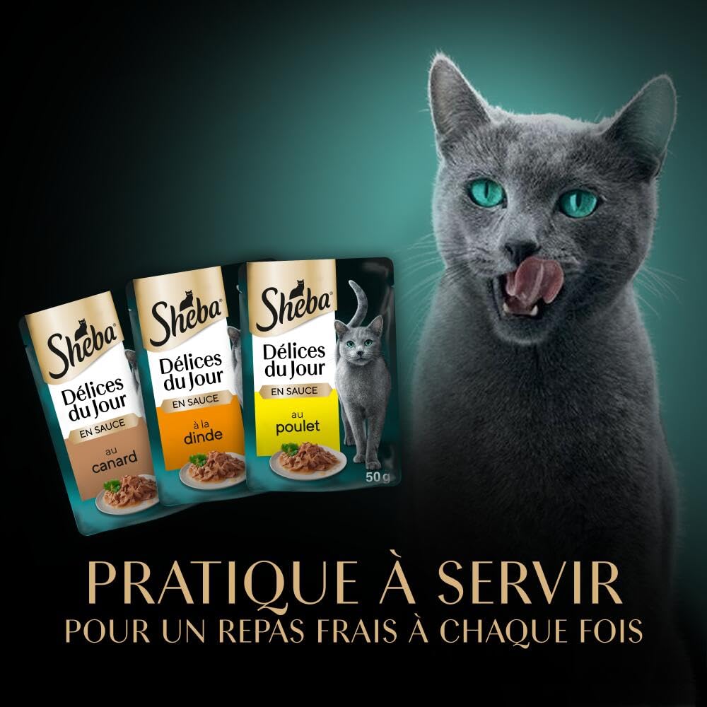 Sheba Délices du Jour Sachets Fraîcheur 6 X 50 g Sélection à La Volaille en Sauce - Pack de 12