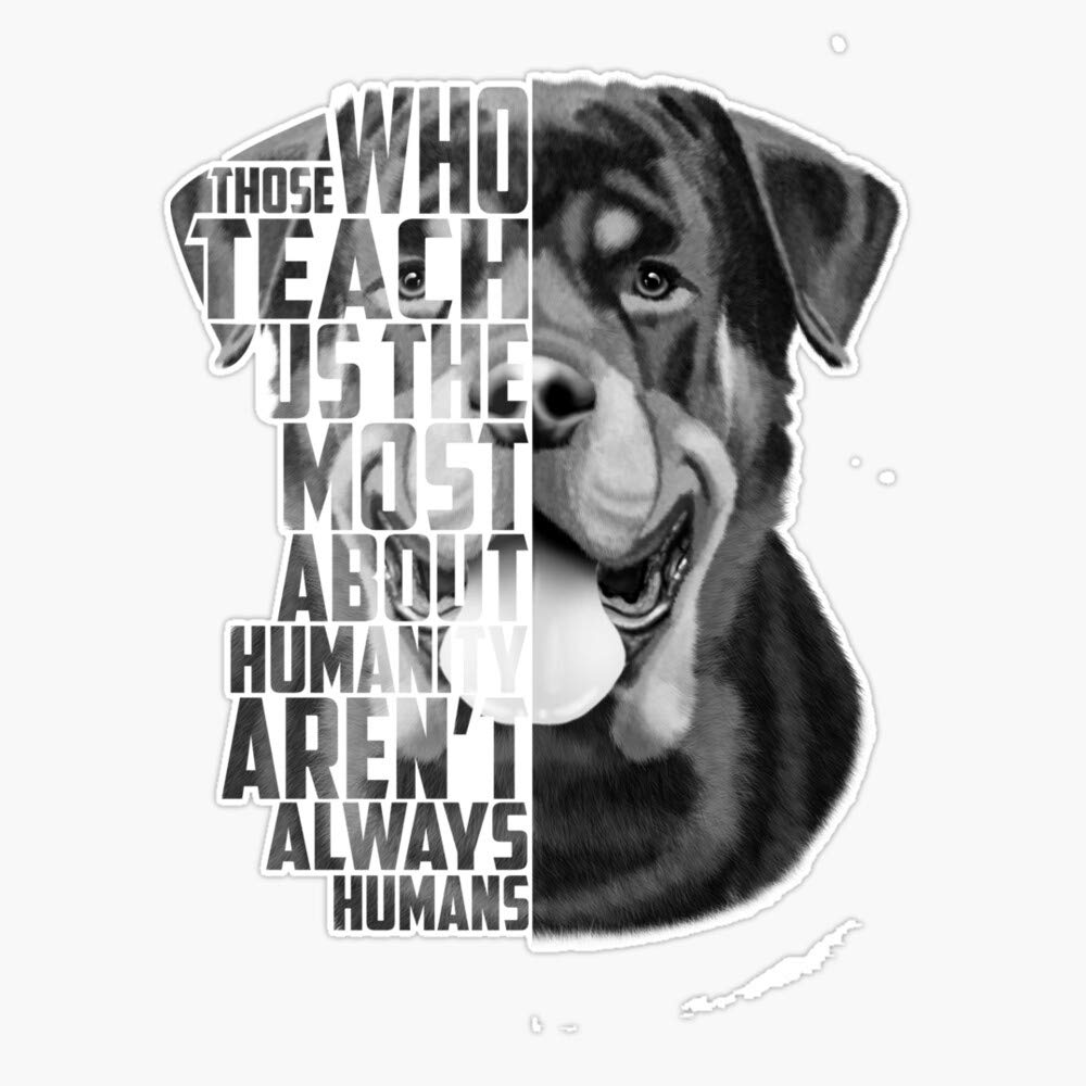 Rottweiler Quote, Loyalty Quote, Rottweiler Head, Rottweiler Text, Rottweiler Portrait, Dog Quote, Inspirational Quote Sticker Vinyl Waterproof Sticker Decal Car Laptop Wall Window Bumper Sticker 5