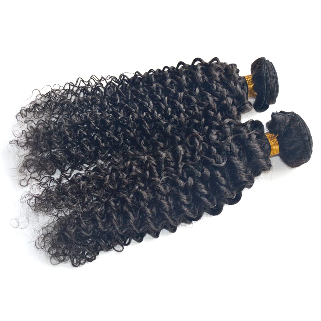 Jerry Curly Real Human Hair Extension Weave Bundle with Machine Double Weft in Natural Black 1 Pack 100 Gram (22 Inches)