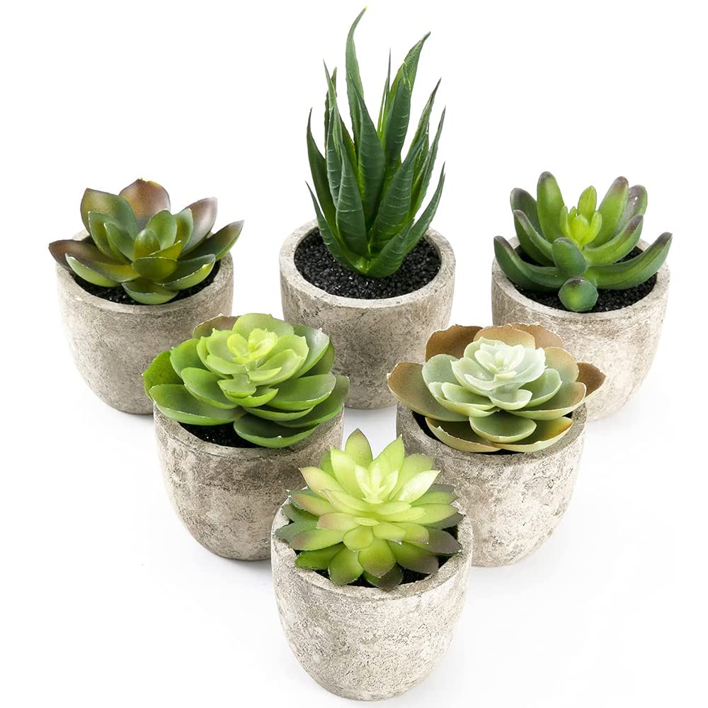 Homarket Artificial Succulent Plants Potted, Assorted Decorative 6pcs Mini Faux Succulent Potted Fake Cactus Cacti Plants with Pots