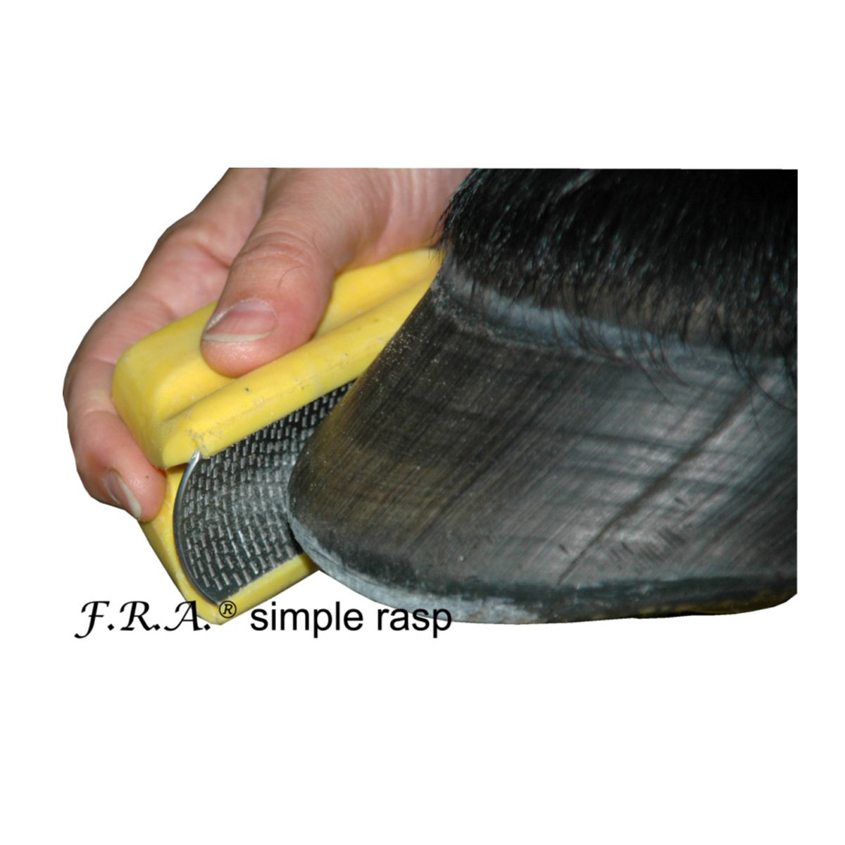 F.R.A. Simple Rasp, Fein, Gelb, Handraspel, Schmiedeeissernes Blatt, FISHING_ROD_REEL_COMBO, Fischereizubehör