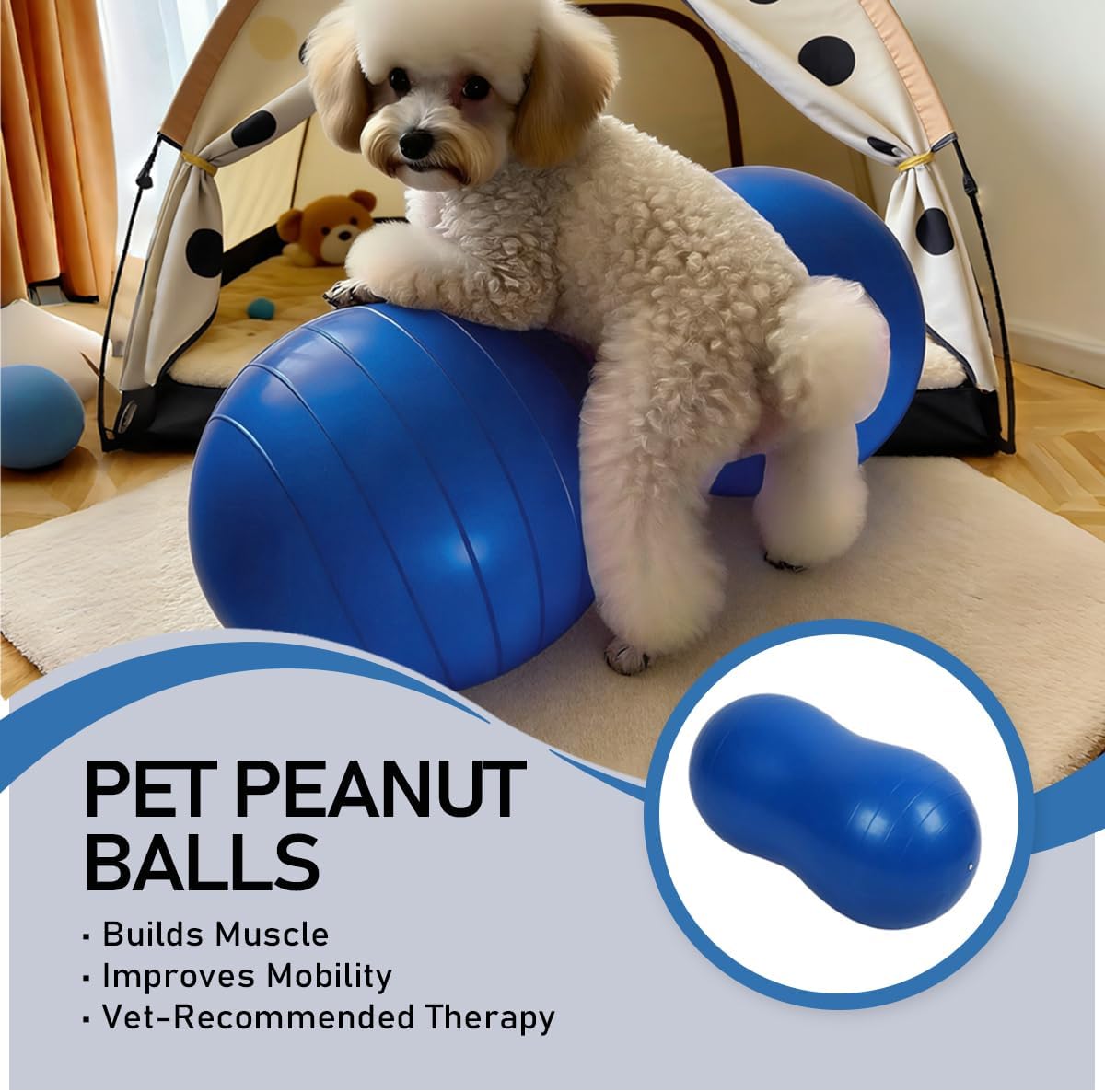 Dog Peanut Ball for Canine Fitness & Rehabilitation for Small Medium Large Breed - Anti-Burst Pet Exercise Equipment for Core Strengthening Balance Training Hind Leg Stability (Small - for Legs 3-7")
