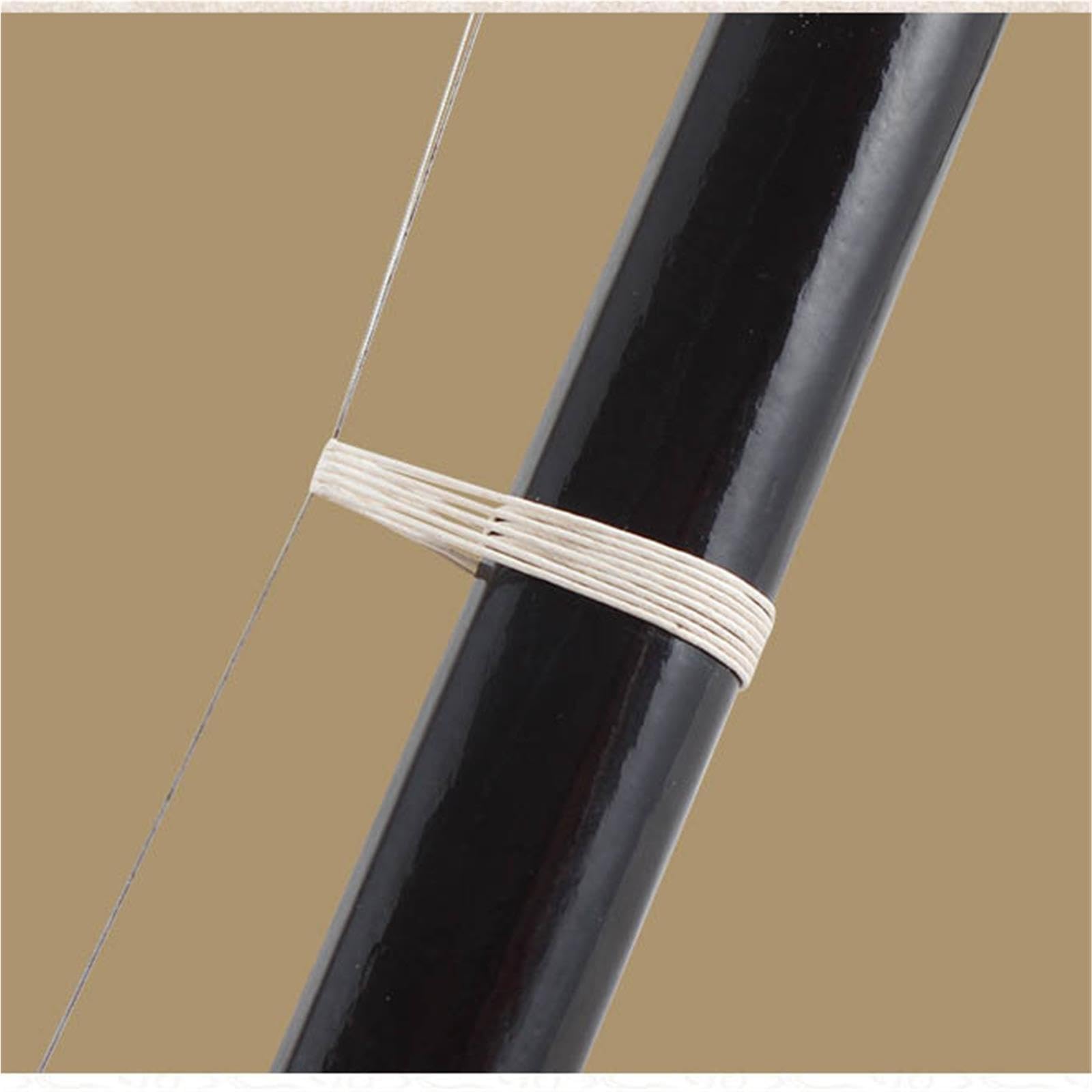 Anfänger Erhu Professioneller Anfänger Erhu Für Erwachsene