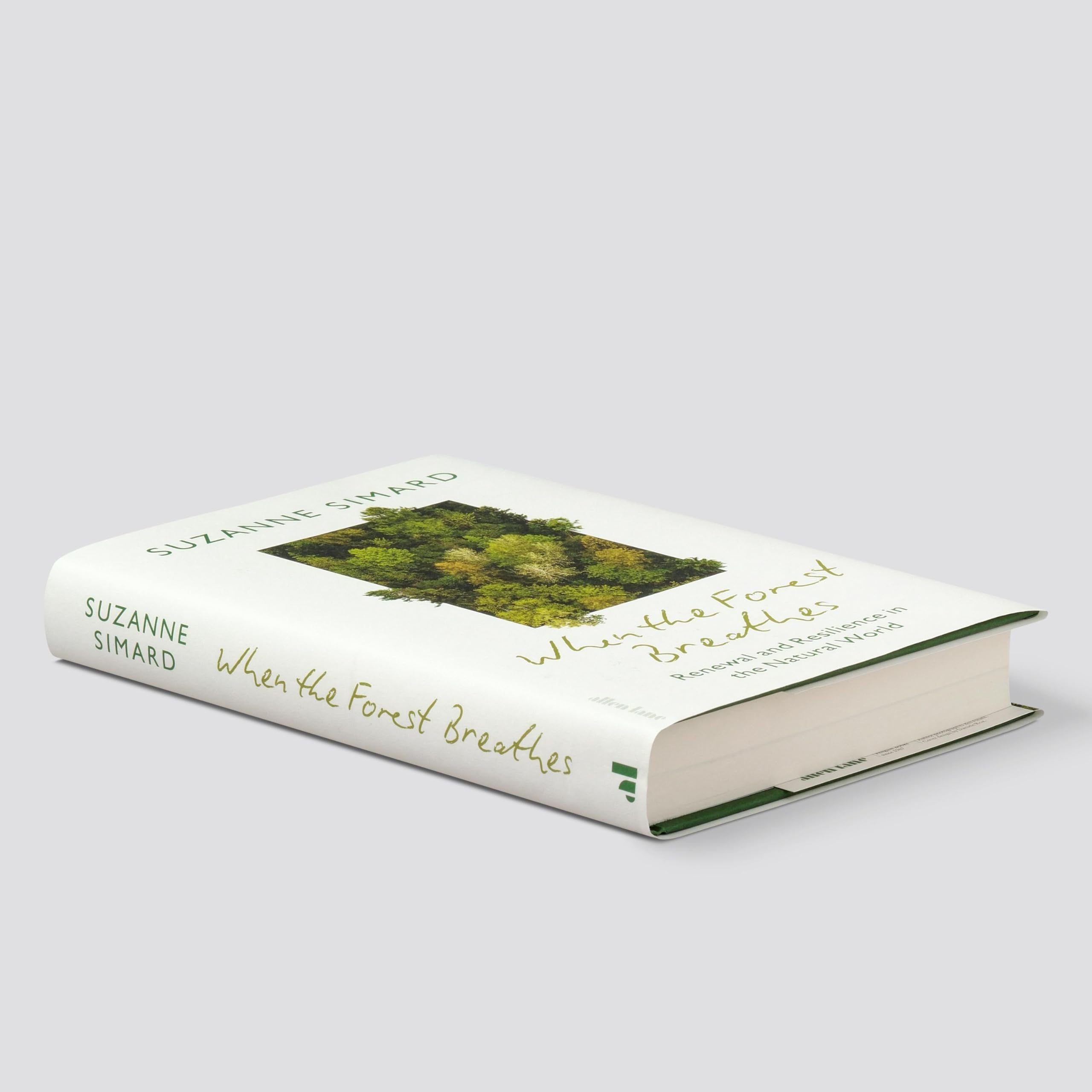 When the Forest Breathes: Renewal and Resilience in the Natural World