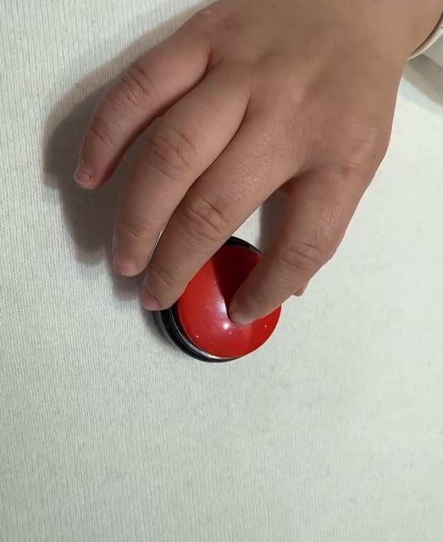 Amazon.com: Recordable Talking Button with Keychain, 30s Voice