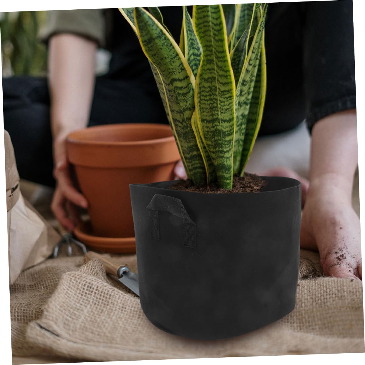 Abaodam Pflanzsäcke 20 Gallonen 3 Stück aus Atmungsaktivem Vliesstoff Tragbare Gartentaschen für Gemüse und Tomaten für Garten und Terrasse