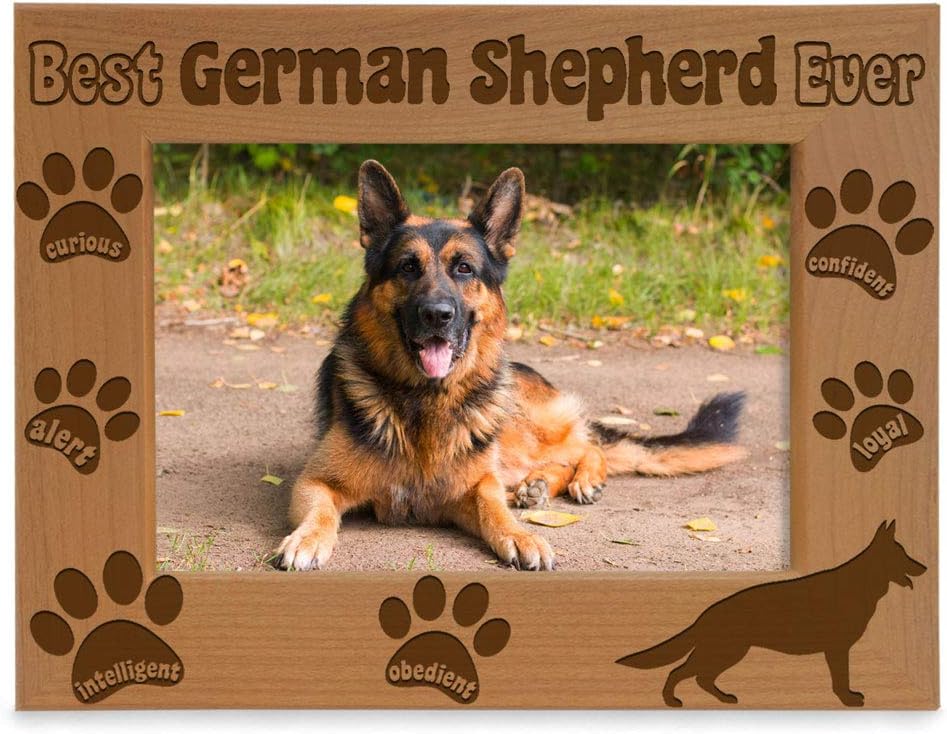 KATE POSH Marco de fotos Best German Shepherd Ever, regalos para amantes de los perros, regalos para cachorros, regalos conmemorativos, marco de