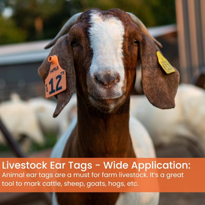 FerAppease® 1,000ml Cattle Stress Relief + 25-Pack X-Large Numbered Livestock Ear Tags Kit – Durable Waterproof ID Tags (Orange) – Long-Lasting Farm Identification & Calming Formula for Cattle