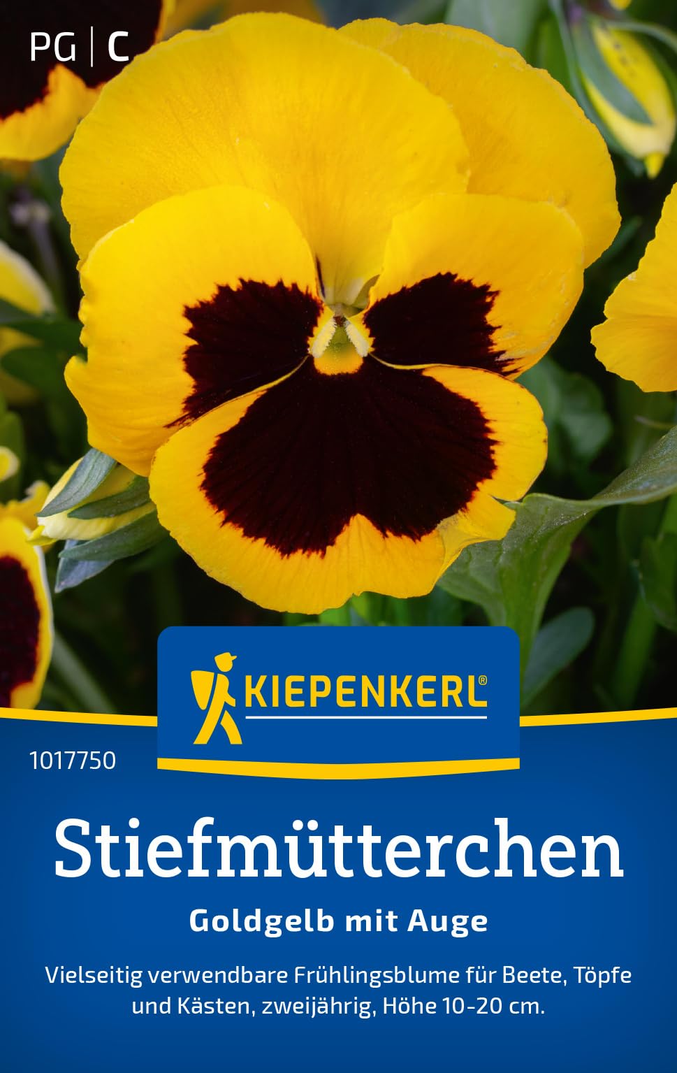 Kiepenkerl Stiefmütterchensamen Goldgelb mit Auge 1017750 - Robuste, winterharte Blumensamen für bezaubernde Beete - Blumensamen, Blumenwiese, Saatgut