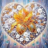 Aukojoy Kit de pintura de diamante 5D con forma especial para manualidades con taladro divisor, 30 x 30 cm