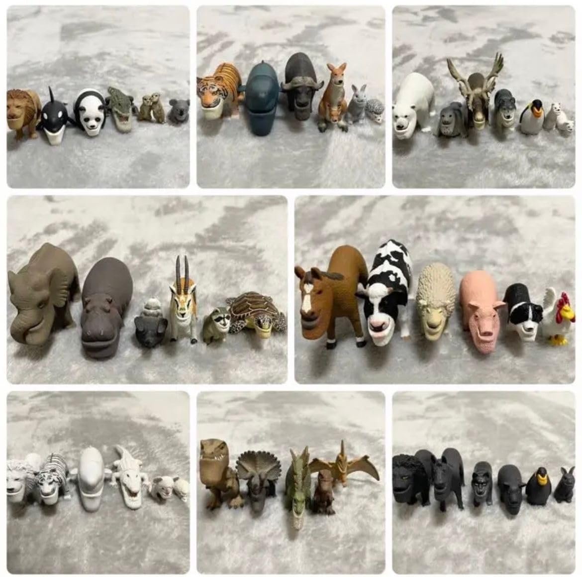 Amazon.co.jp: シャクレルプラネット コンプリート : おもちゃ
