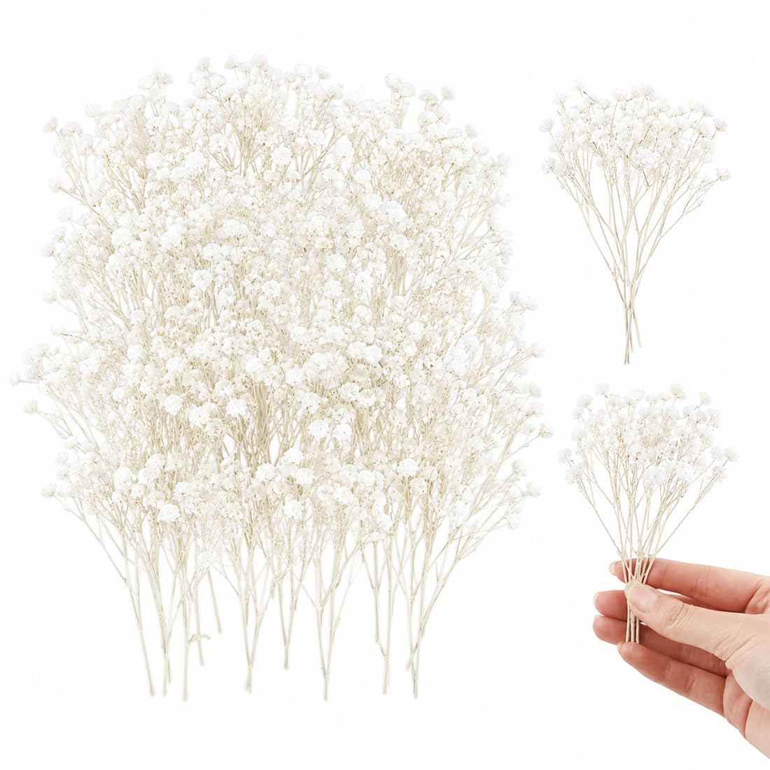 50 Pezzi Di Nebbiolina Bianca, Gypsophila Essiccata Misura Standard Per Artigianato In Resina E Decorazioni Nuziali