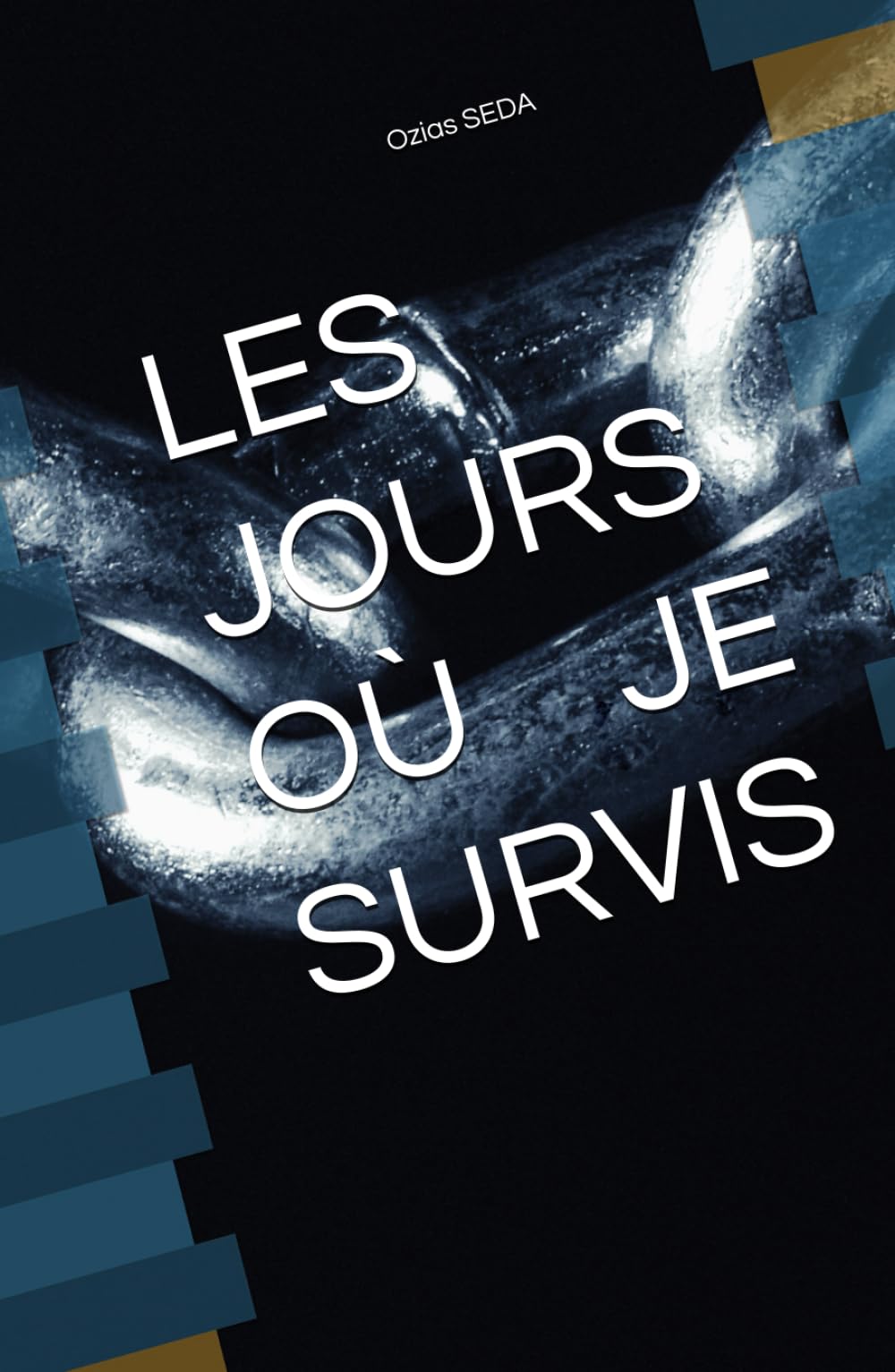 LES JOURS OÙ JE SURVIS