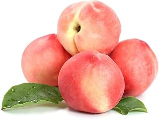 QMXCING 2Pcs Peach Seeds Non-GMO Heirloom Fruit Seed Outdoor Garden Planting Tree Autumn Harvest Gardeners Love Varieties Planting Gifts