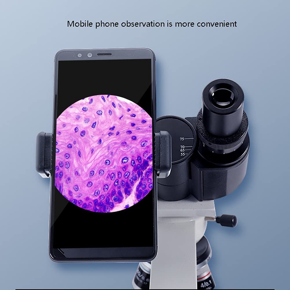 Kit microscopio Composto con Lente d'Ingrandimento Illuminazione a LED per Laboratorio didattico per hobbisti di Laboratorio