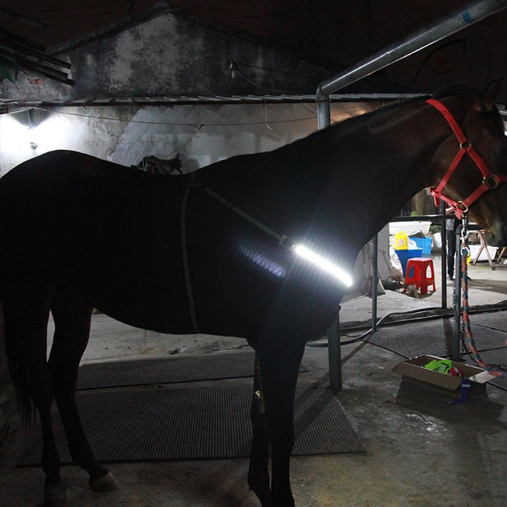 Pettorale a LED per cavalli, ricaricabile tramite USB, riflettente, elastico, per la sicurezza, alta visibilità durante le corse su strade e sentieri