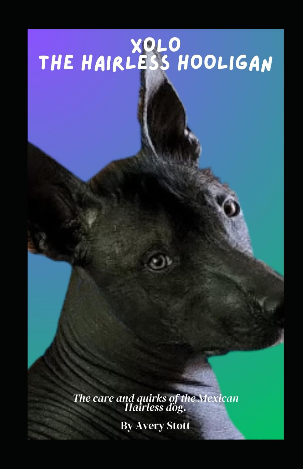 Xolo The Hairless Hooligan: Quirks and Care of the Mexican Hairless Dog