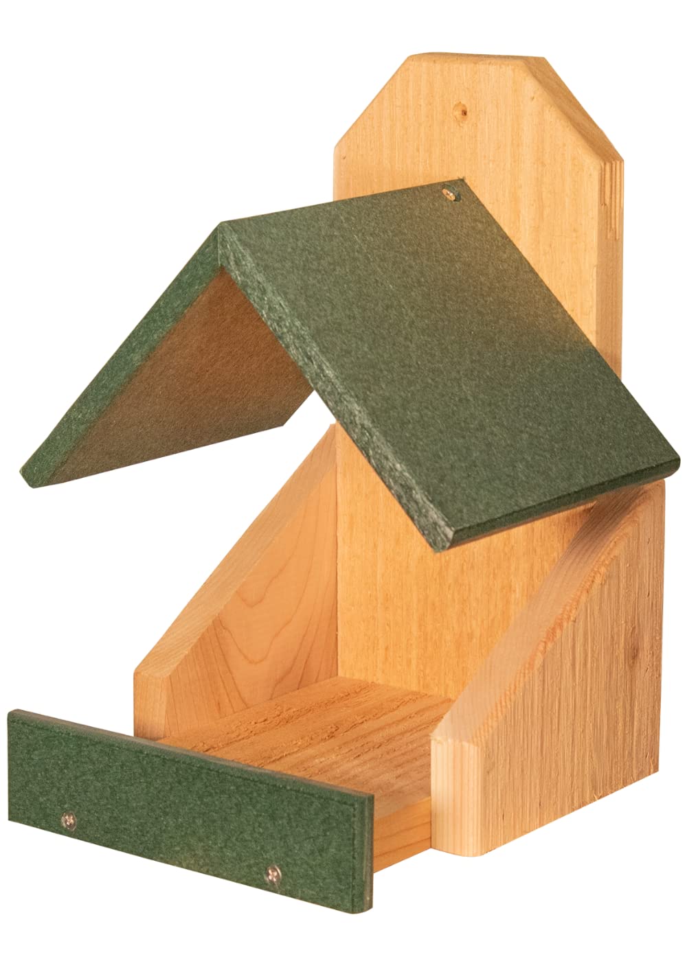 10 Best Robin Bird Houses for Your Garden Top Picks and Buying Guide