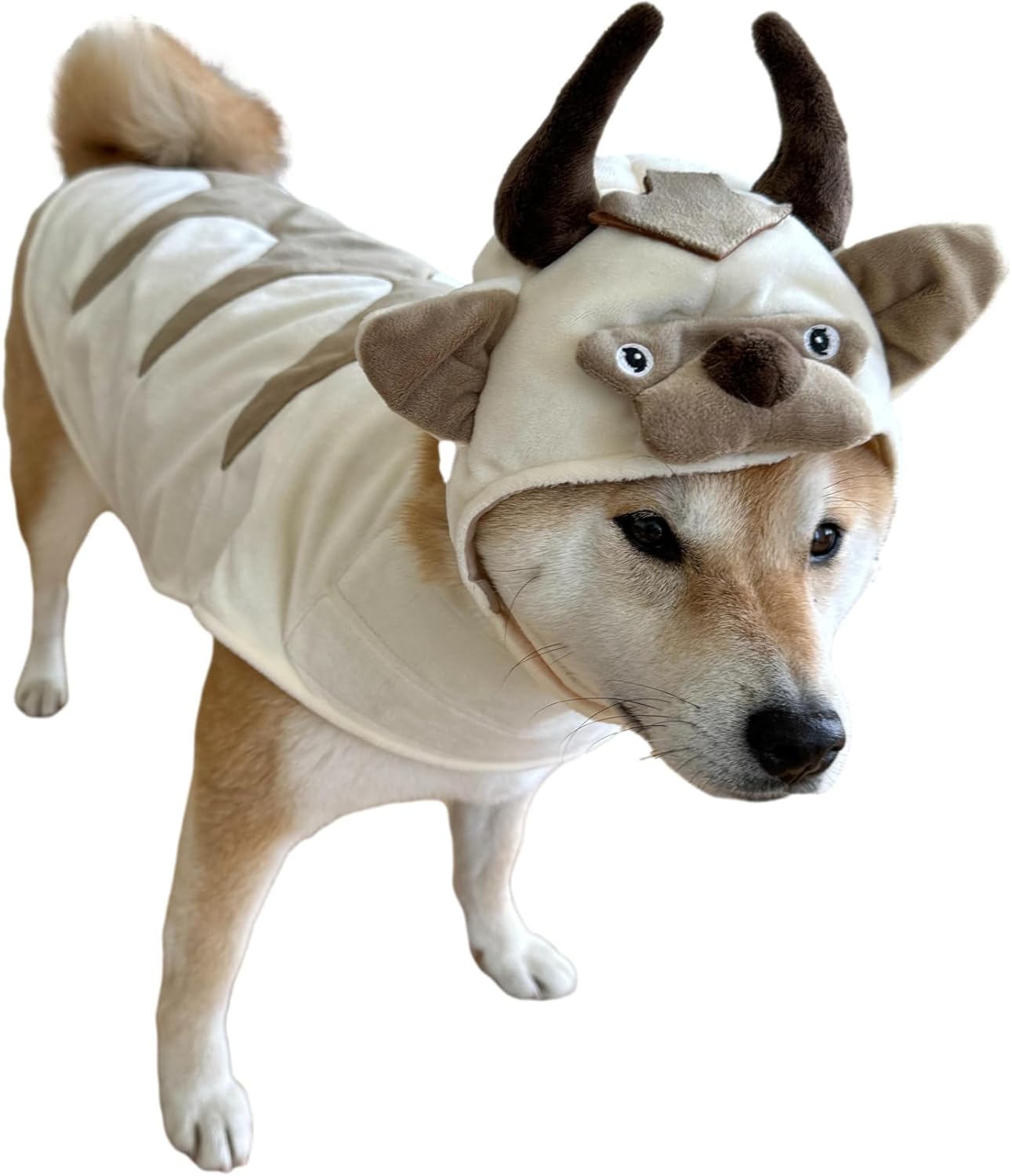 https://m.media-amazon.com/images/I/61wZetNpIWL._AC_SL1500_.jpg