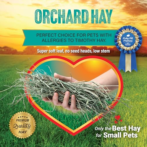 Small Pet Select Orchard Grass Hay Pet Food for Rabbits, Guinea Pigs, Chinchillas and Other Small Animals, Premium Natural Hay Grown in The US, 10 LB - Image 6