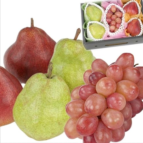 R`Y t[cMtgZbg, EtX2(300g)E[KbhR~X2(270g)EԂԂǂ1[(450g), ϔ