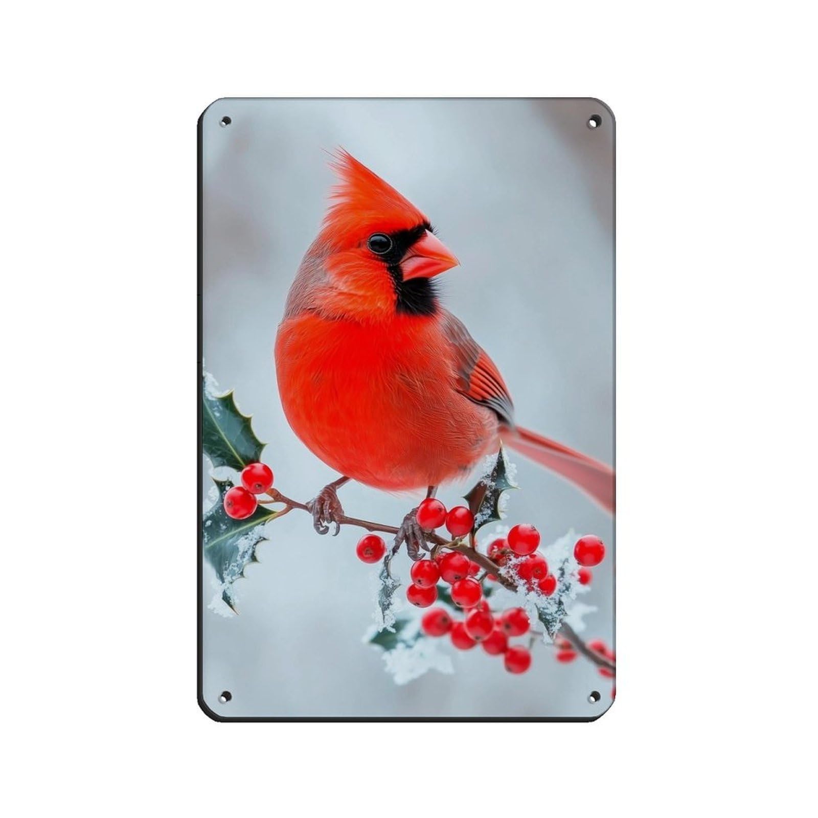 Red Cardinal Photograph, Nature Art Poster Tin Sign Vintage Metal Pub Club Cafe Bar Home Wall Art Decoration Poster Retro 8x12inch(20x30cm)