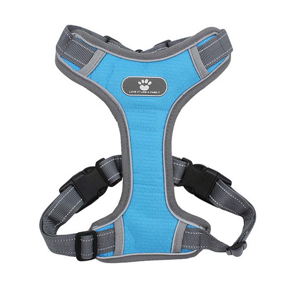 HEELPPO Anione Geschirr Hund Anione Geschirr Hundeleine Schleppleine  Hundeleine GroE Hunde Hunde Leine Hundeleine Kleine Hund Hundeleine Hunter  Hunter Hundeleine Schleppleine Hund Laufleine Blue,l : Amazon.de: Haustier