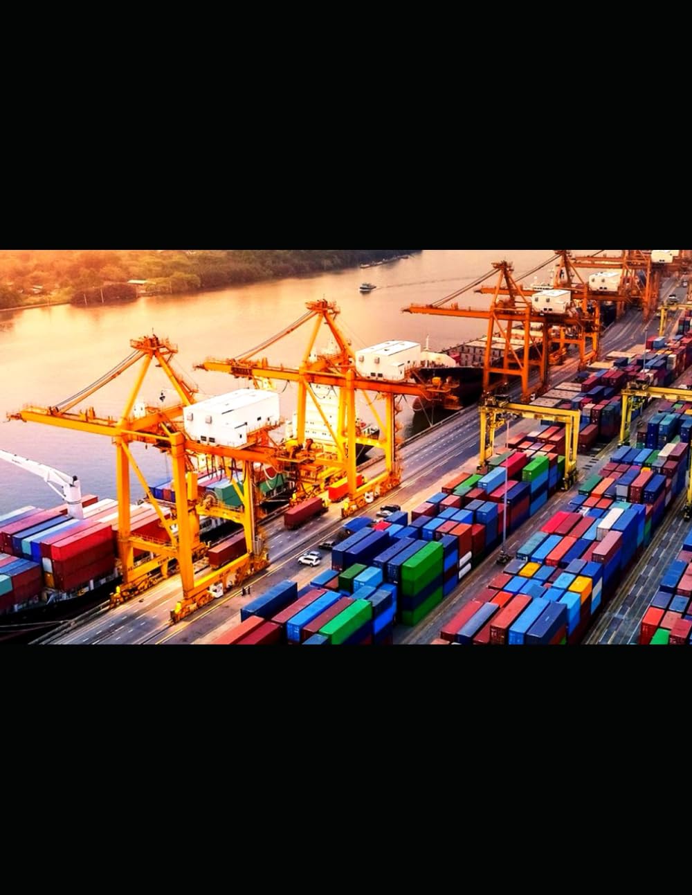 COMO VENDER PARA O GOVERNO DO BRASIL: VENDA PARA O MUNDO (Fique rico no mundo digital)