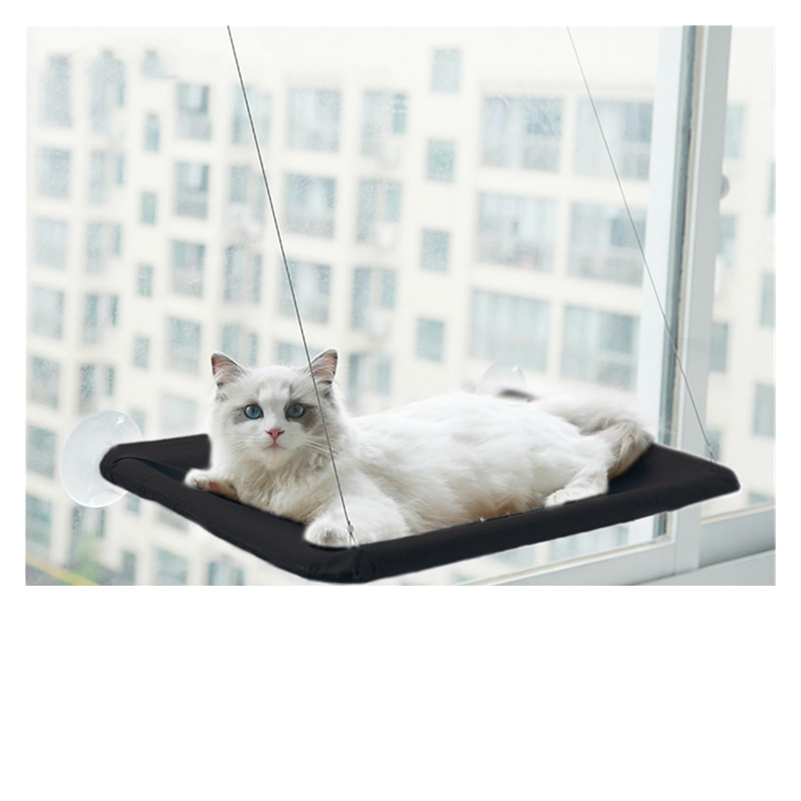 Haustier Katze Hängematte Hängen Bett Lager 20Kg Bequeme Sunny Fenster Sitz Halterung Kätzchen Klettergerüst Zubehör Stabil Komfortabel(Black)