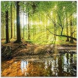 ARTLAND Glasbilder Wandbild Glas Bild einteilig 50x50 cm Quadratisch Wald Natur Landschaft Bäume Bach Sonne Frühling T9IO