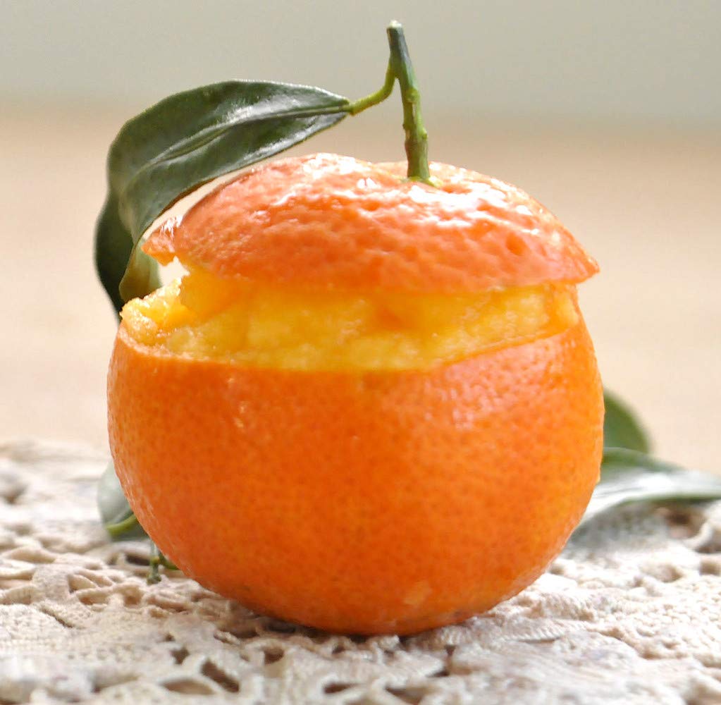 kg 1,25 Prodotto Pronto per Gelato O Sorbetto al Gusto Mandarino per GELATERIA Prodotto Completo Tangerine Ice Cream