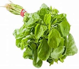 Green Amaranth Seeds - 2000+Seeds - Amaranth Seeds for Planting - Green Leaf - Chinese Spinach Amaranth Seeds - Amaranthus Seeds - Rau Den Seeds - HIGH Germination Rate - HIGH Yield - Non GMO (2000)