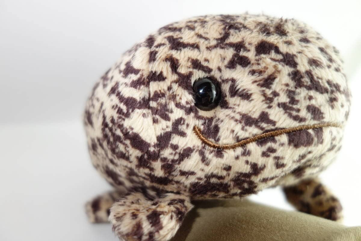 Amazon.co.jp: 京都水族館 オオサンショウウオぬいぐるみ ころりんS