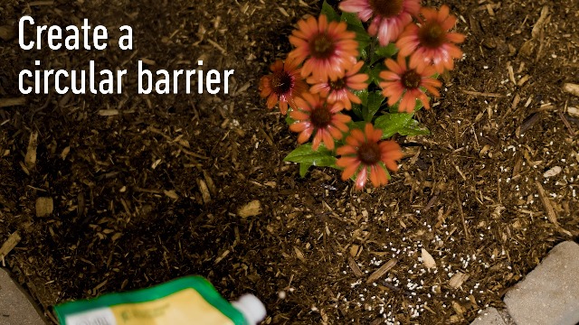 Image of Ortho Bug-Geta Snail & Slug Killer2, Pest Control Stays Effective For Up to 3 Weeks, 2 lbs