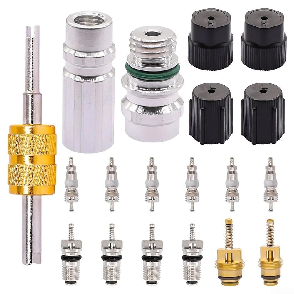 BEYOEE 19PC Air Conditioning Valve Core Kit for R134a and R12 Systems Leak Prevention Guaranteed