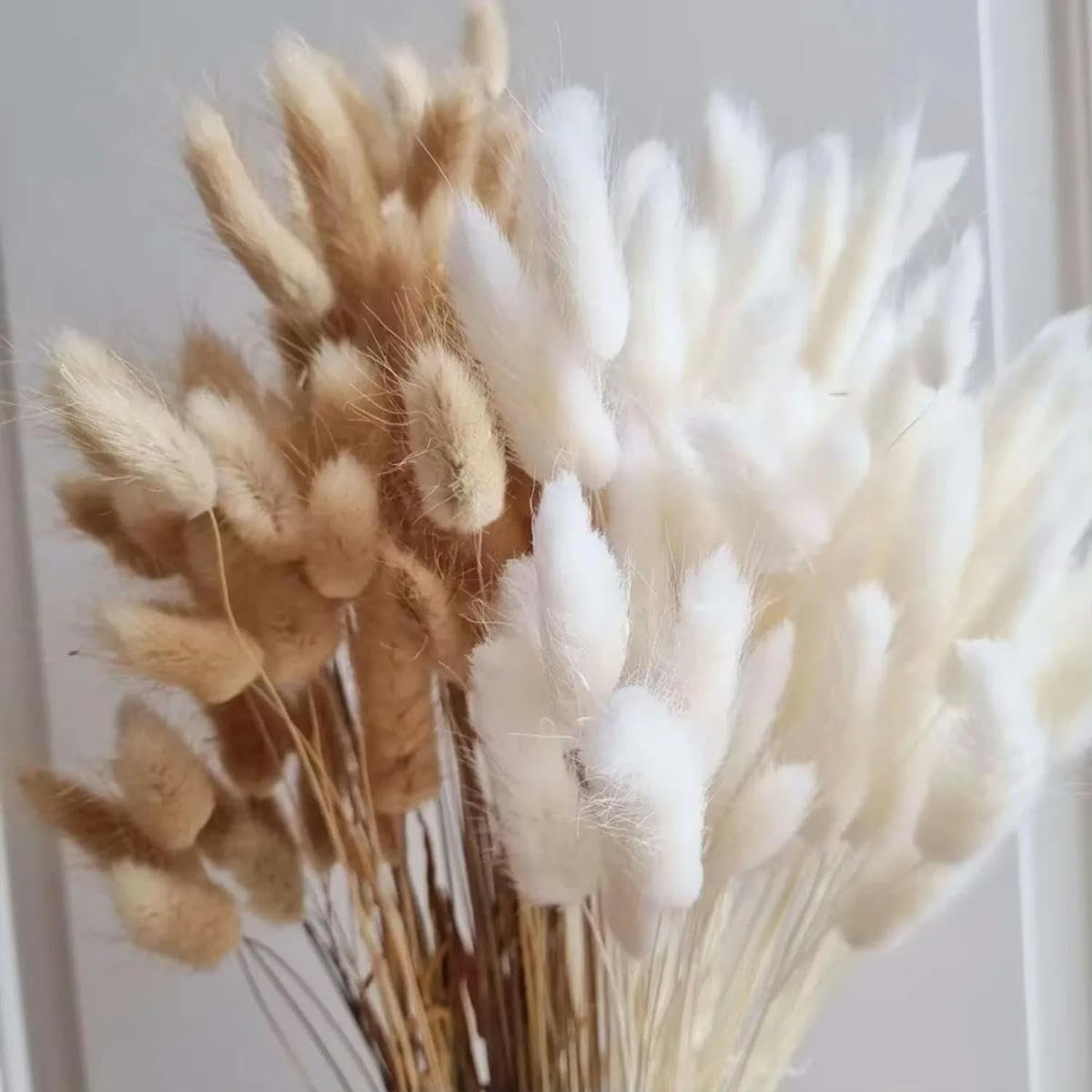 Lot de 50 Bouquets de Fleurs séchées en Herbe de Queue de Lapin Naturelle, pour Mariage, Maison, fête, Bureau, Arrangement Floral Moelleux, décoration, Rouge, 50 pièces