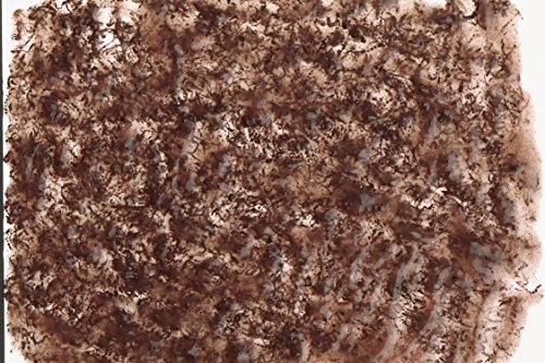 Tetra Delica Bloodworms 48 G - Afbeelding 6