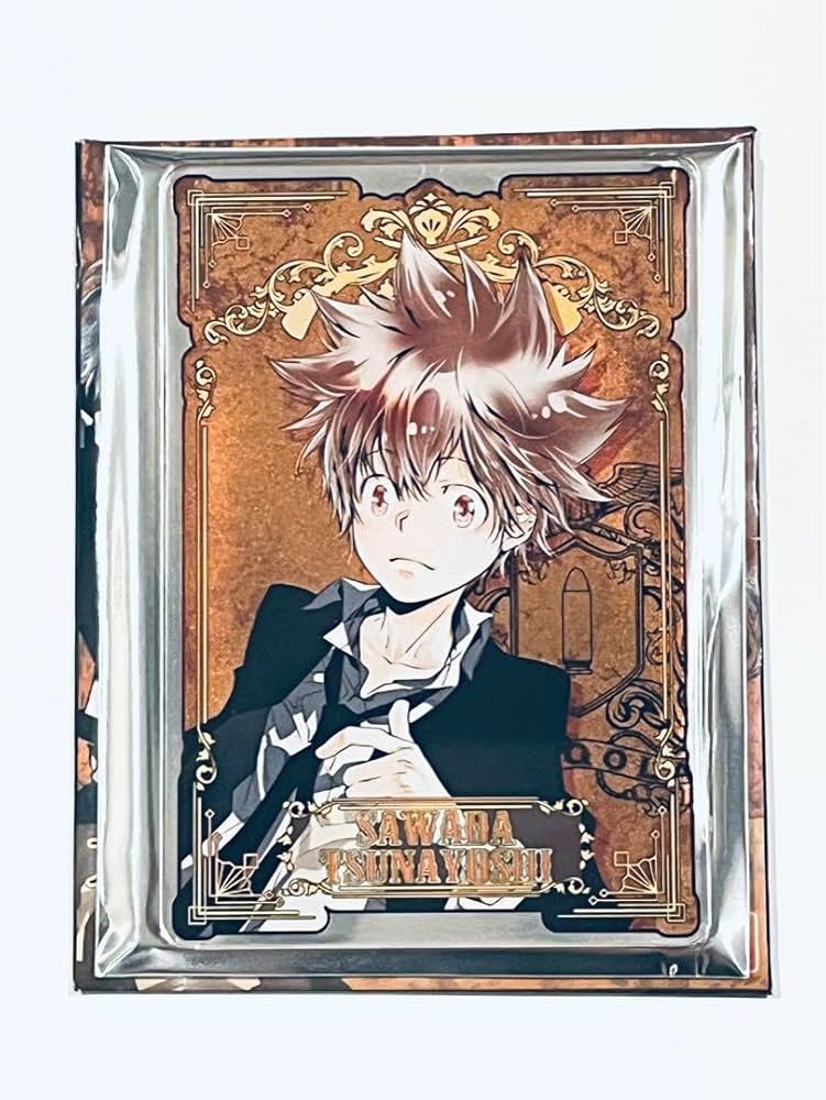 家庭教師ヒットマンREBORN　ステータスカード　沢田綱吉　5点 Amazon.co.jp: 家庭教師ヒットマンREBORN！ステータスカード