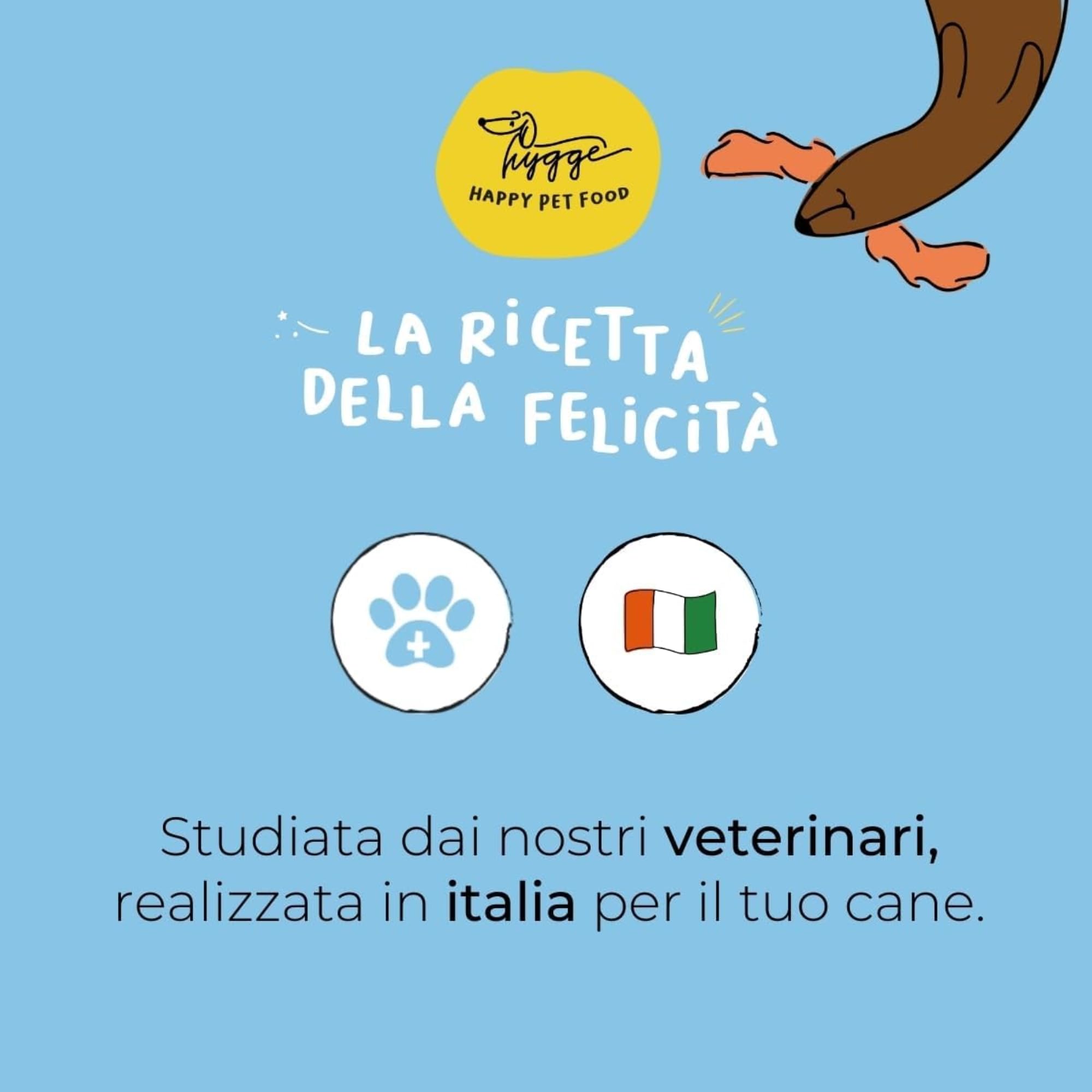 Biscotti Buonanotte: Biscotti rilassanti per Cani, 100% Naturali gusto Camomilla | Snack Cane gustoso e sano, adatto a tutte le taglie ed età | Scorta sufficiente per 6 mesi, 600 gr | Hygge Dog