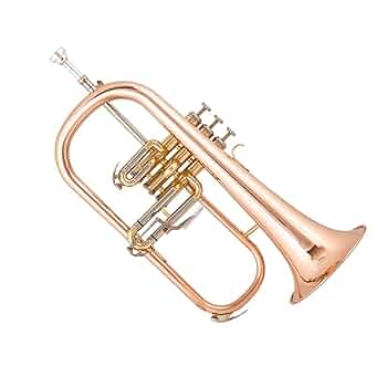 Amazon | 初心者金管楽器 Bフラットトランペット楽器学生専門的