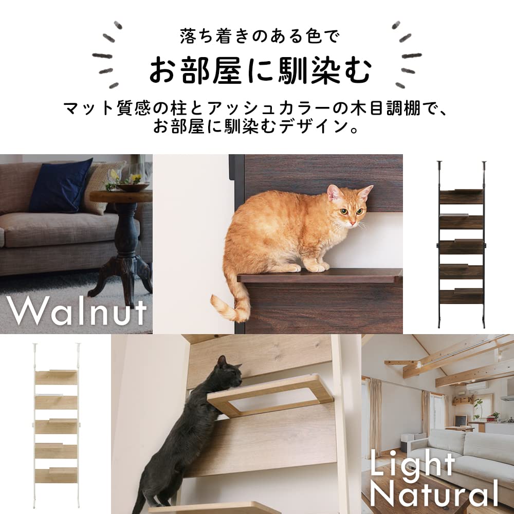 Amazon.co.jp: アイリスオーヤマ キャットステップ 覗ける透明板